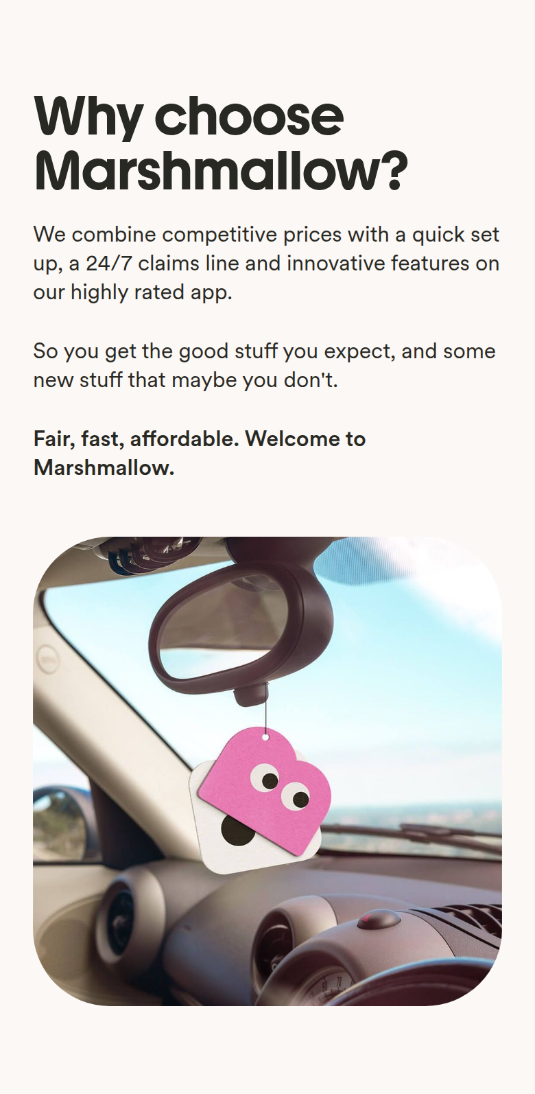Why Choose Marshmallow? section from Marshmallow, on a phone