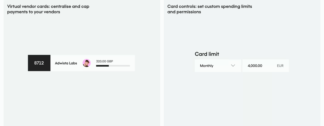 Virtual Vendor Cards and Card Controls section from Pleo