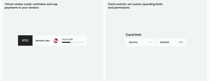 Virtual Vendor Cards and Card Controls section from Pleo